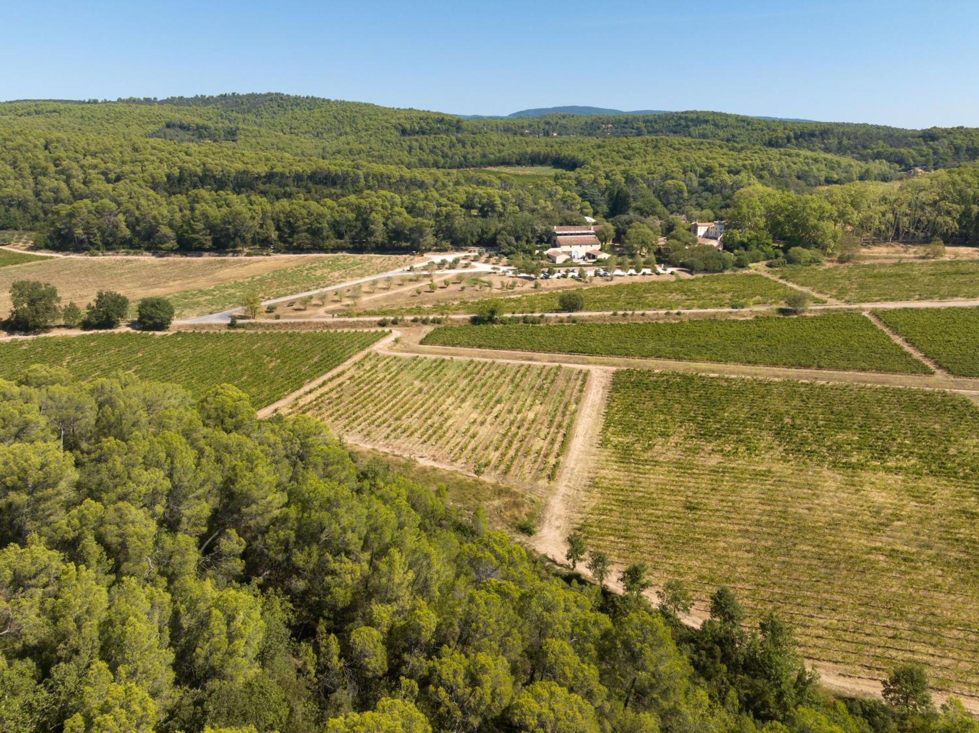 Chateau Mentone Masseboeuf Exterior foto